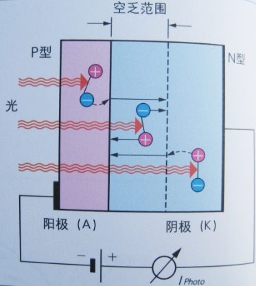 图 2 光电二极管内部结构