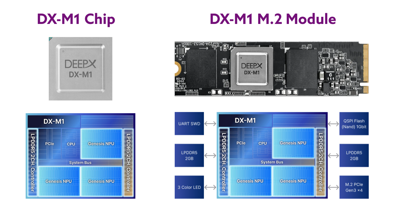 DEEPX DX-M1 chips and modules with diagrams