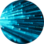 NETWORK