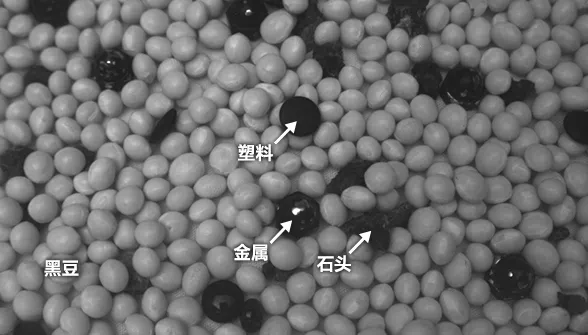 swir-future-of-ai-vision