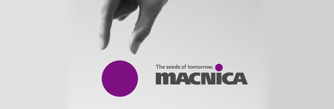 Macnica Branding