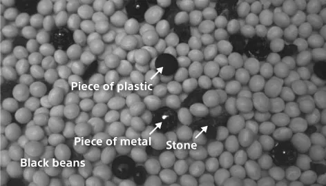 Detecting_contaminants_in_food Under SWIR (1,300nm)